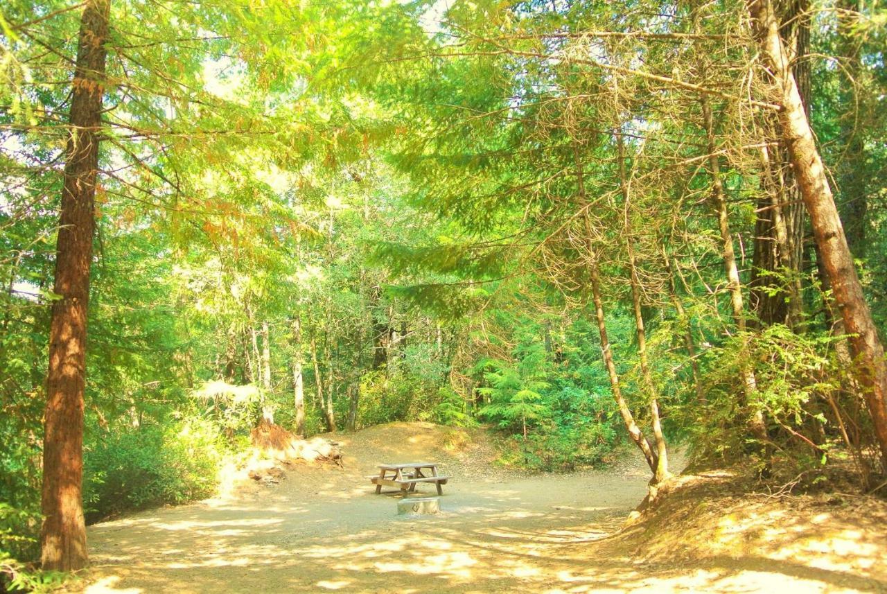 Resort Redwoods River & Leggett