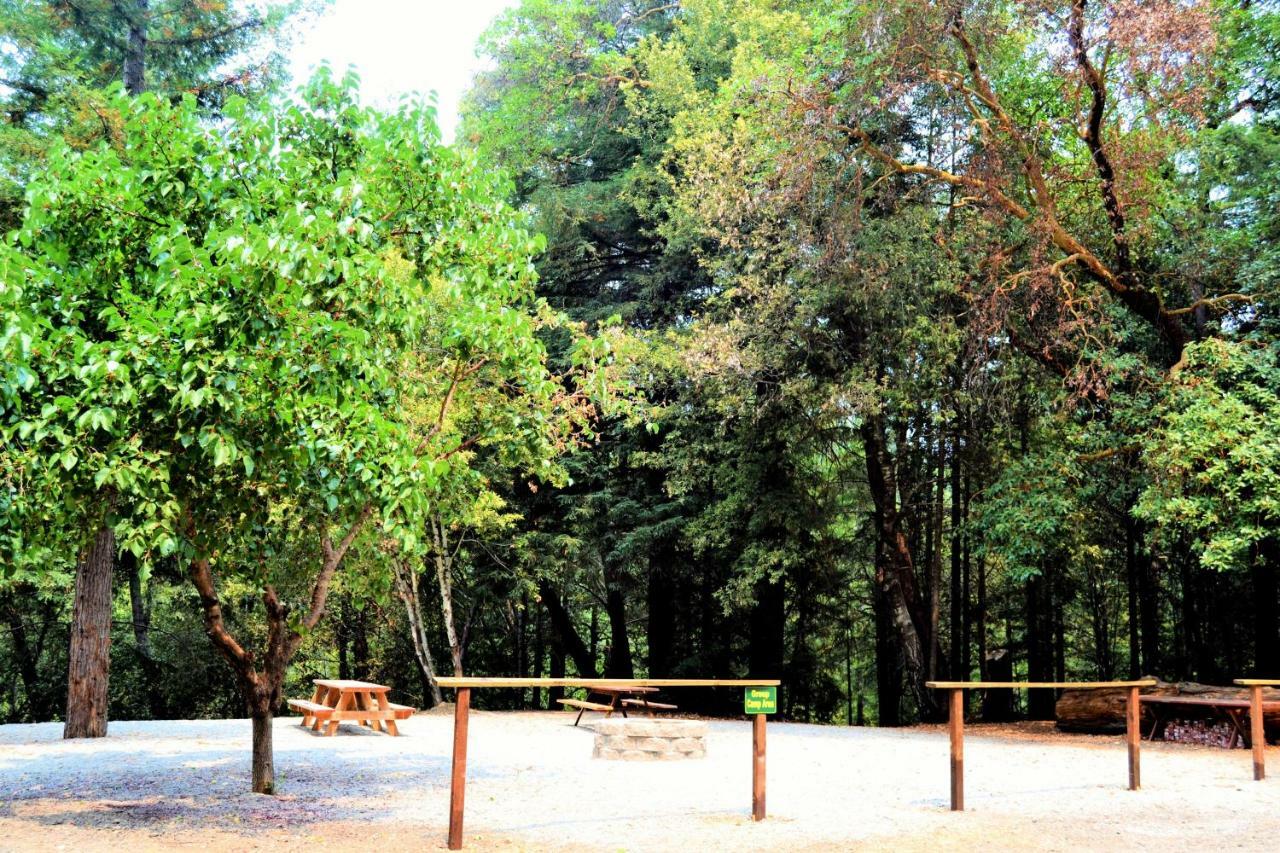 Resort Redwoods River & 2*